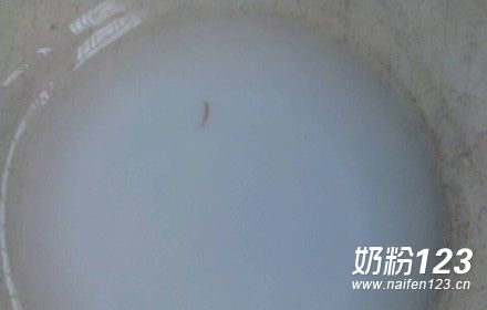 �������̷۾��ֻ����Ӿ �ͷ���η��ϱ�������