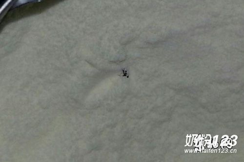 �ɺ��̷۹��ڳ��ֲ�Ӭ ������Ͷ���޻ظ�
