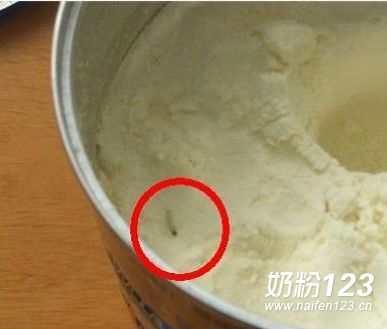 ���������ۻ����̷����� Ӥ��ʳ��θ��