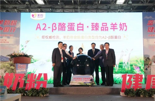 ����A2����